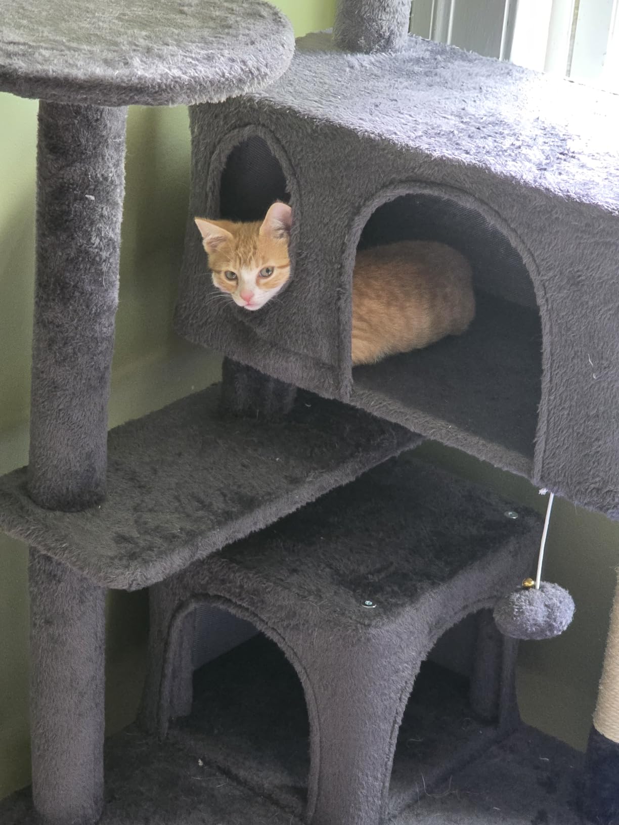 Yaheetech 54in Cat Tree Tower, 2 Caves, Kitten-Ear Perch & Scratching Posts | Multi-level layout, climbing ladder, easy assembly, high pet appeal, total load 66lbs for all indoor cats, dark gray customer photo 2