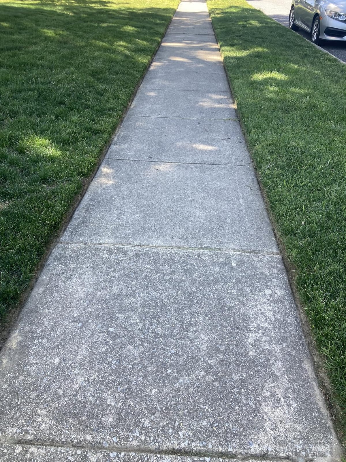 BLACK+DECKER Lawn Edger Trencher 2 in 1, 12 Amp 7.5 in. Electric Edger for Landscaping and Trench Digger, 3 Height Settings, Corded (LE760FF) customer photo 2