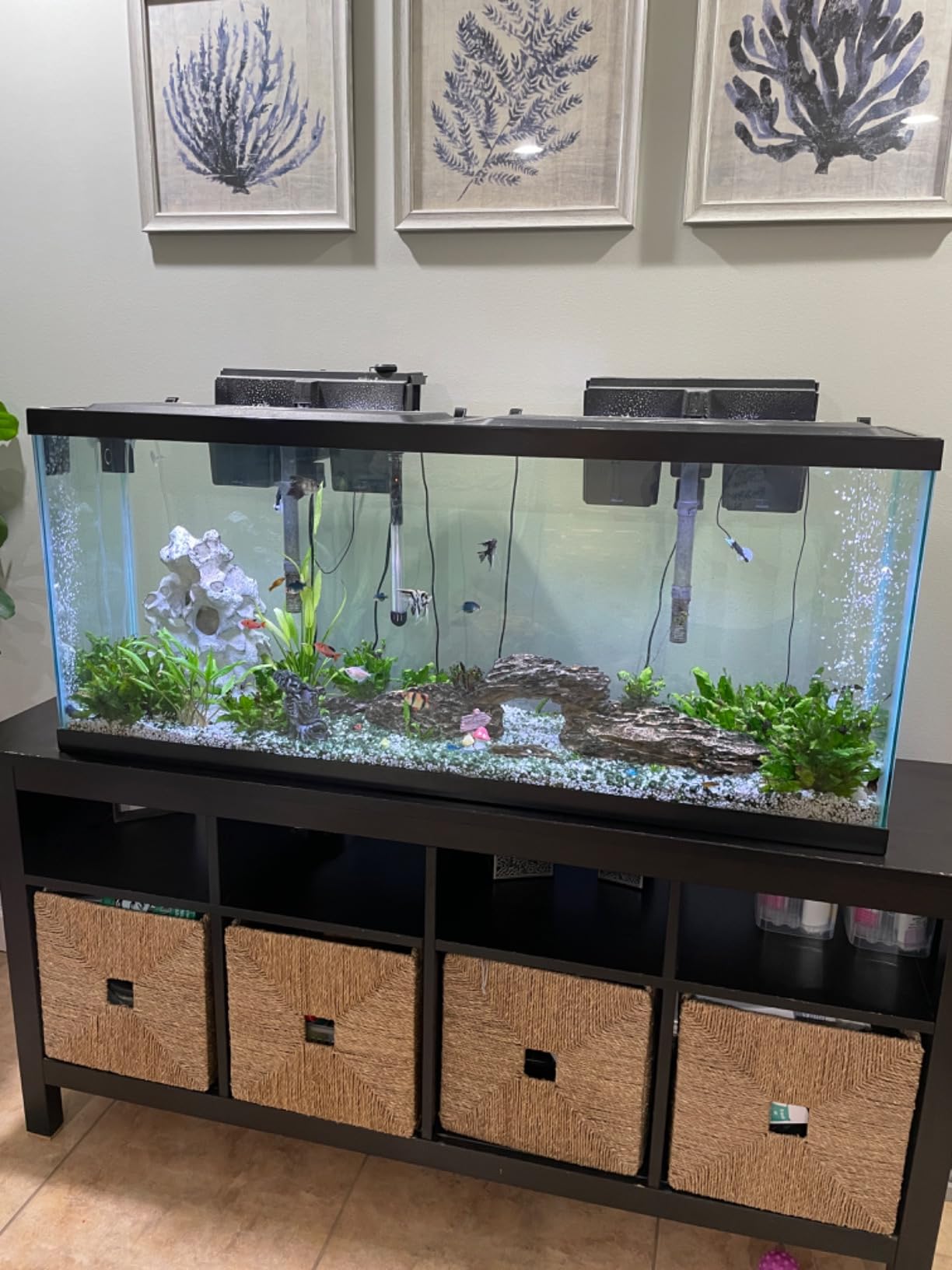 Tetra LED 55 Gallon Complete Fish Tank Kit for Freshwater Fish, Aquarium Kit Includes White LED Lights, 55 Gallon Glass Tank With 2 Hinged Hoods, Filter & Cartridge, Heater, Air Pump customer photo 1