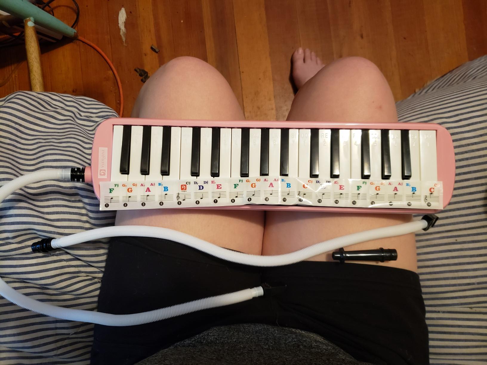 Vangoa 32 Key Melodica, Musical Instrument Air Piano Keyboard, Melodicas with Carrying Bag, Pianica Double Mouthpieces, Wipe Cloth, Key Stickers, Long Tubes (Blue) customer photo 2