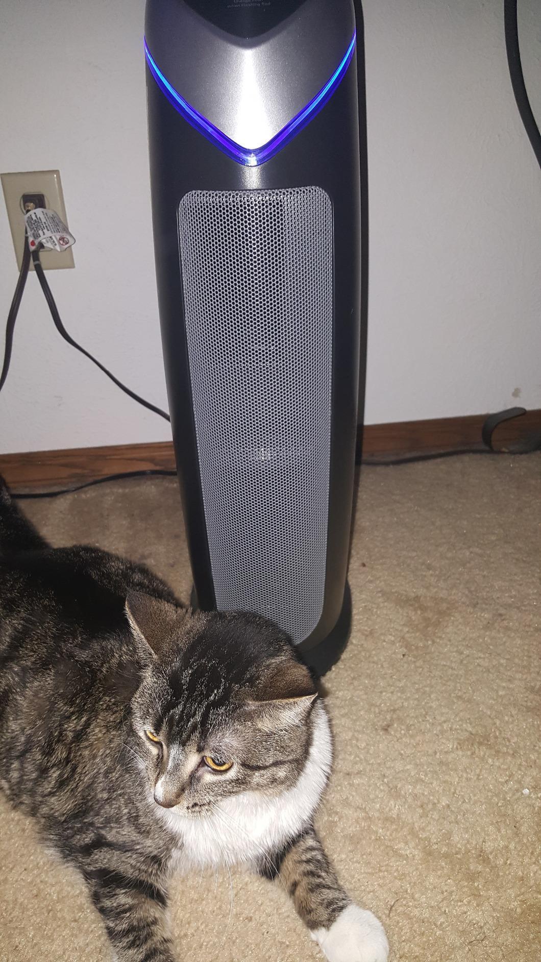 GermGuardian HEPA Air Purifier - Large Room Air Purifier for Bedroom, Office, Dorm, and Home - Filters Pet Dander, Dust, Pollen, Smoke, Scents - AC4825W - 22