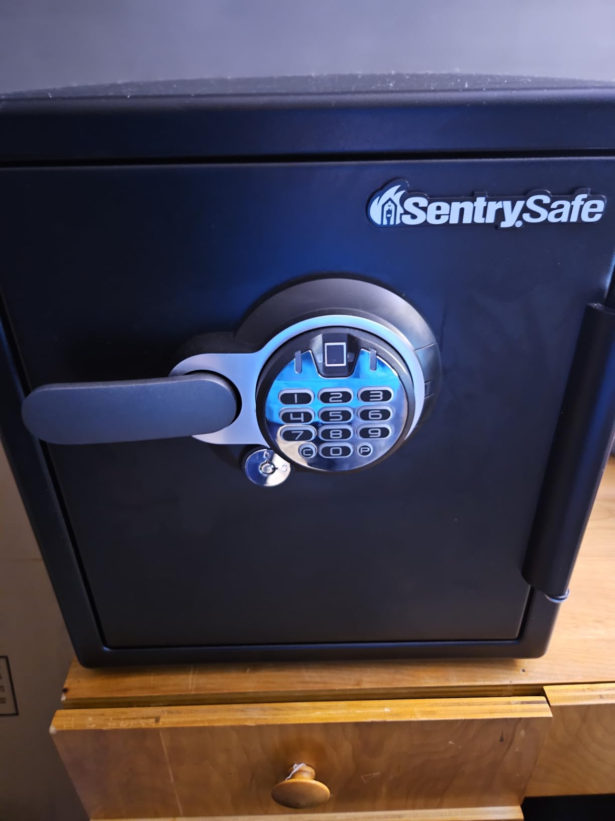 SentrySafe Fireproof and Waterproof Home Safe with Biometric Fingerprint Lock, Keypad, and Key Lock for Securing Money, Jewelry, Documents, 1.23 Cubic Feet, SFW123BTC customer photo 1