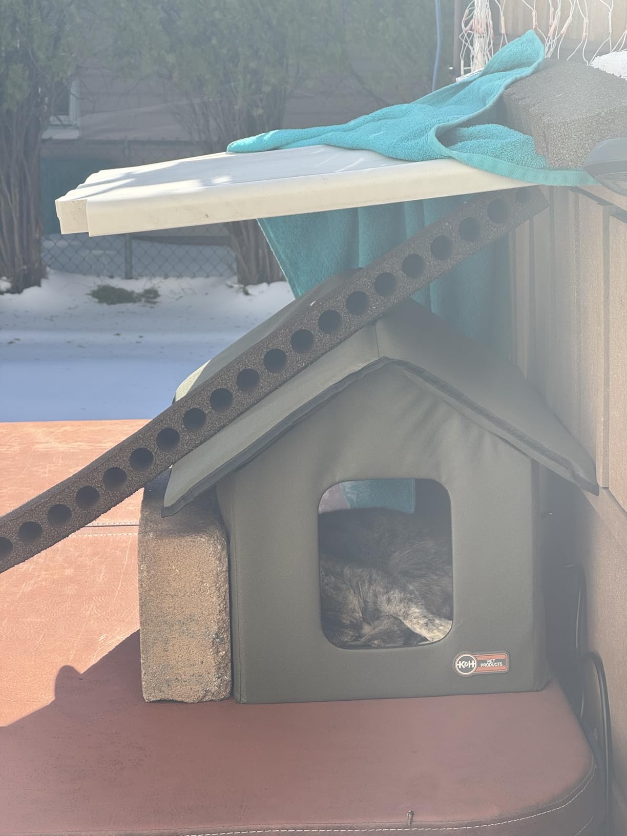 K&H Heated Cat House, Outdoor Kitty Shelter, Safety Listed, 20W, Olive | Heated Cat House for Outside, Weatherproof Shelter for Ferals, Insulated with Smart Thermostat, 2 Doors, Waterproof Bed customer photo 2