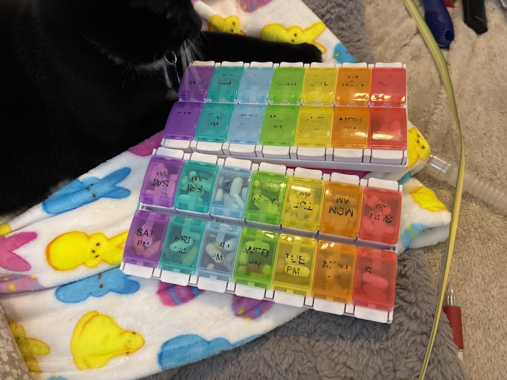 Sukuos AM PM Weekly Pill Organizer 2 Times A Day, Large Daily Pill Box Case 7 Day with Easy Push Button Design, Detachable Medicine Holder for Vitamin/Fish Oil/Supplements (Rainbow) customer photo 2