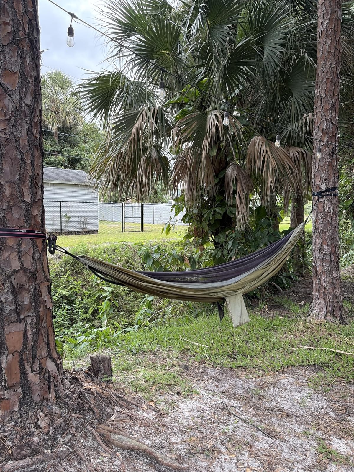 Covacure Camping Hammock - Lightweight Double Hammock, Hold Up to 772lbs, Portable Hammocks for Indoor, Outdoor, Hiking, Camping, Backpacking, Travel, Backyard, Beach (Black) customer photo 2