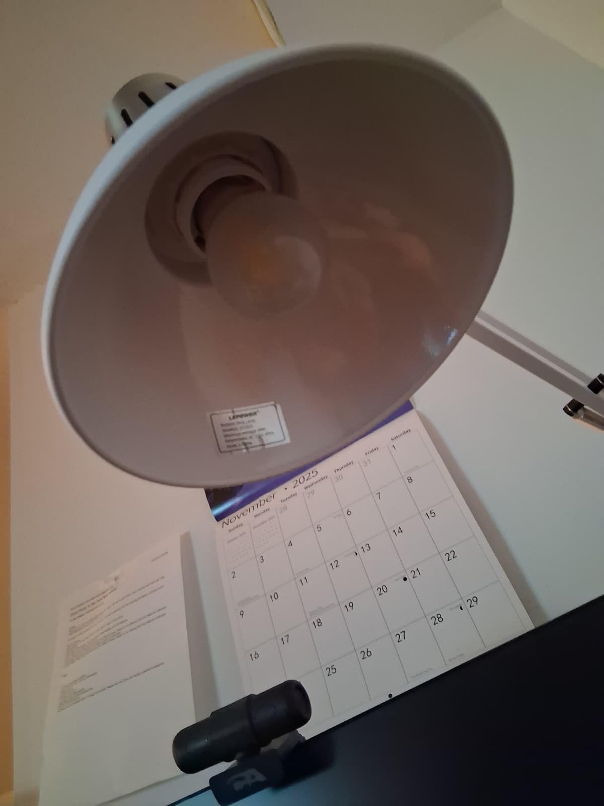 LEPOWER Metal Adjustable Desk Lamp with Clamp, Swing Arm for Home Office customer photo 2
