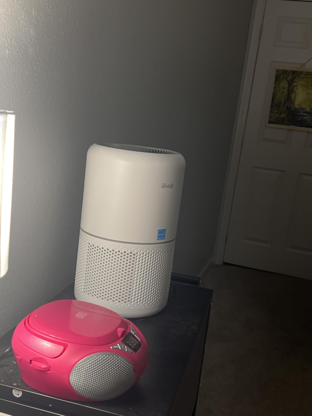 LEVOIT Air Purifier for Home Allergies Pet Hair in Bedroom, Covers Up to 1073 ft² by 56W High Torque Motor, AHAM VERIFIDE, 3-in-1 Filter with HEPA Sleep Mode, Remove Dust Smoke Odor, Core300-P, White customer photo 2