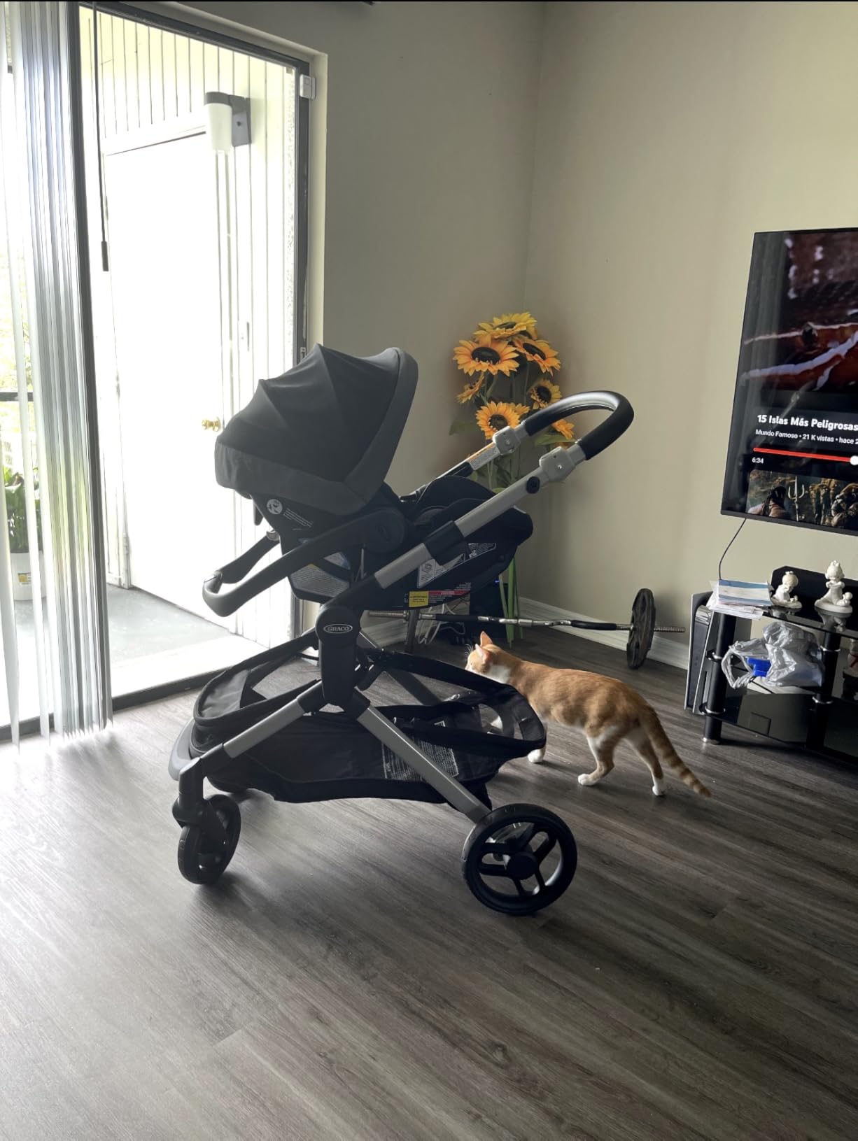 Graco Modes Nest Travel System, 3-in-1 Modular Carseat Stroller Combo, Includes the SnugRide 35 Lite Elite Infant Car Seat and Baby Stroller, Adjustable Slide2Me Car Seat Carrier to Toddler Stroller, Sullivan customer photo 1