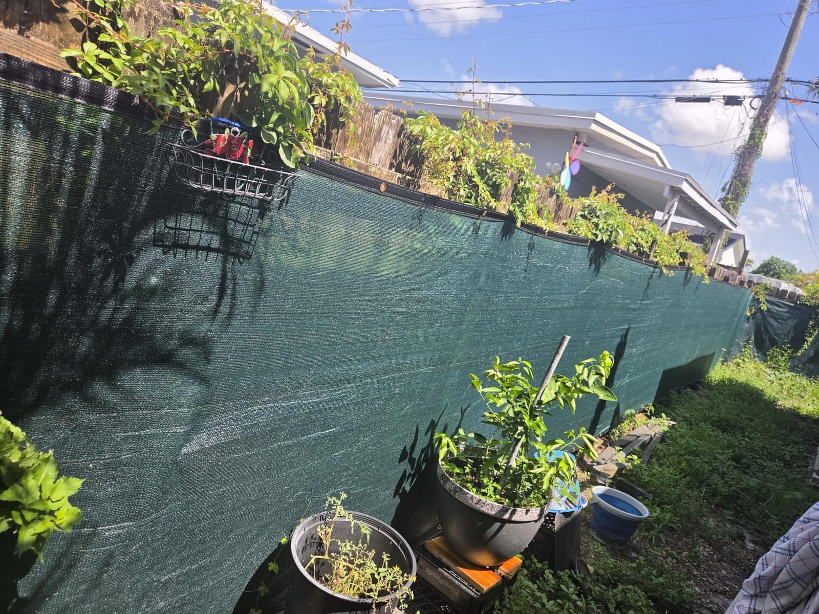 Sunnyglade 6 ft x 50 ft Privacy Screen Fence Heavy Duty Fence Cover Black | Privacy Fence Screen with UV Resistant Mesh, Reinforced Grommets and Breathable Design for Balcony, Patio, Garden & Backyard customer photo 2