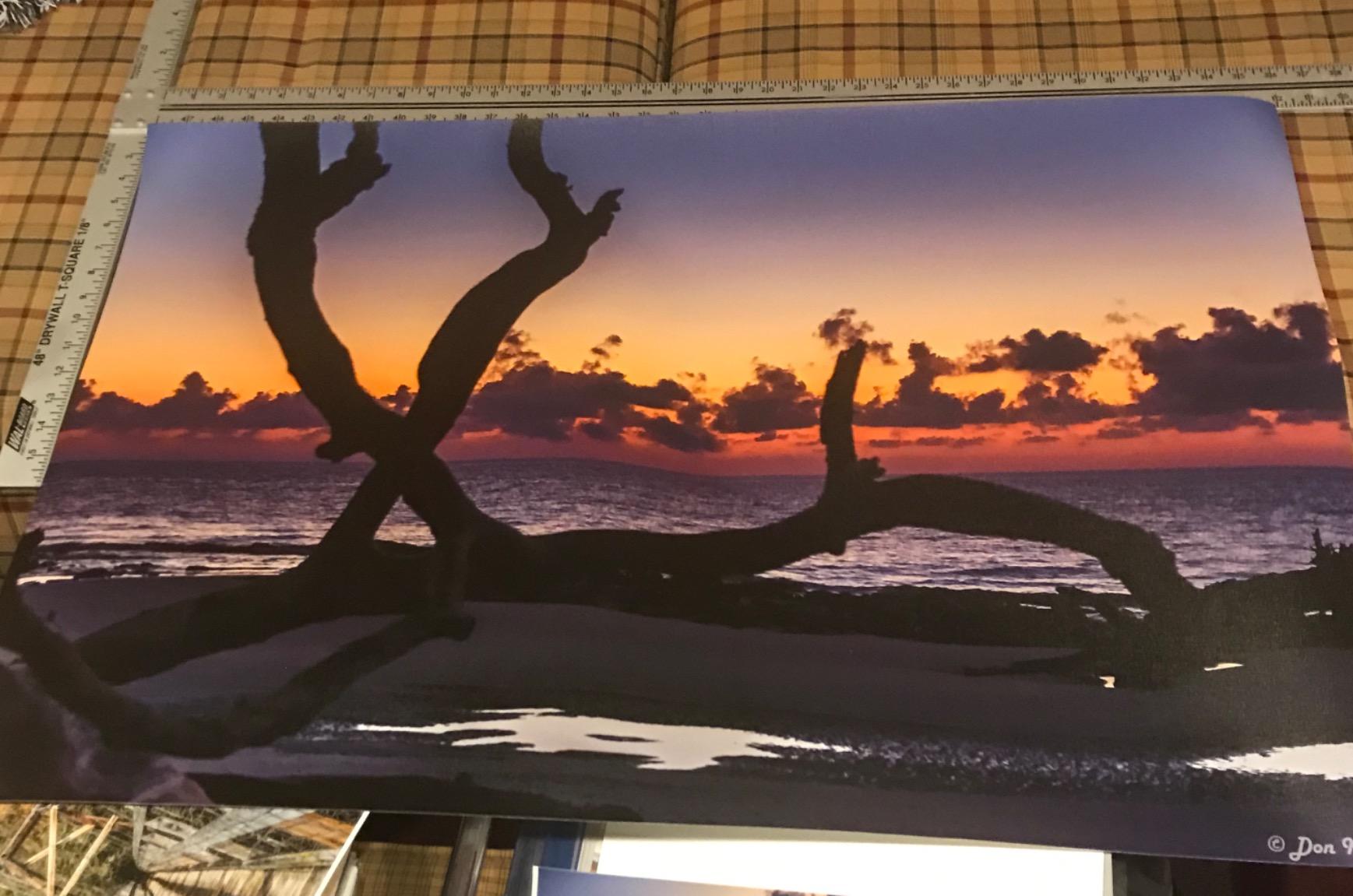 CANON PRO 2100 24 WIDE, FORMAT FINE ART PRINTER customer photo 1