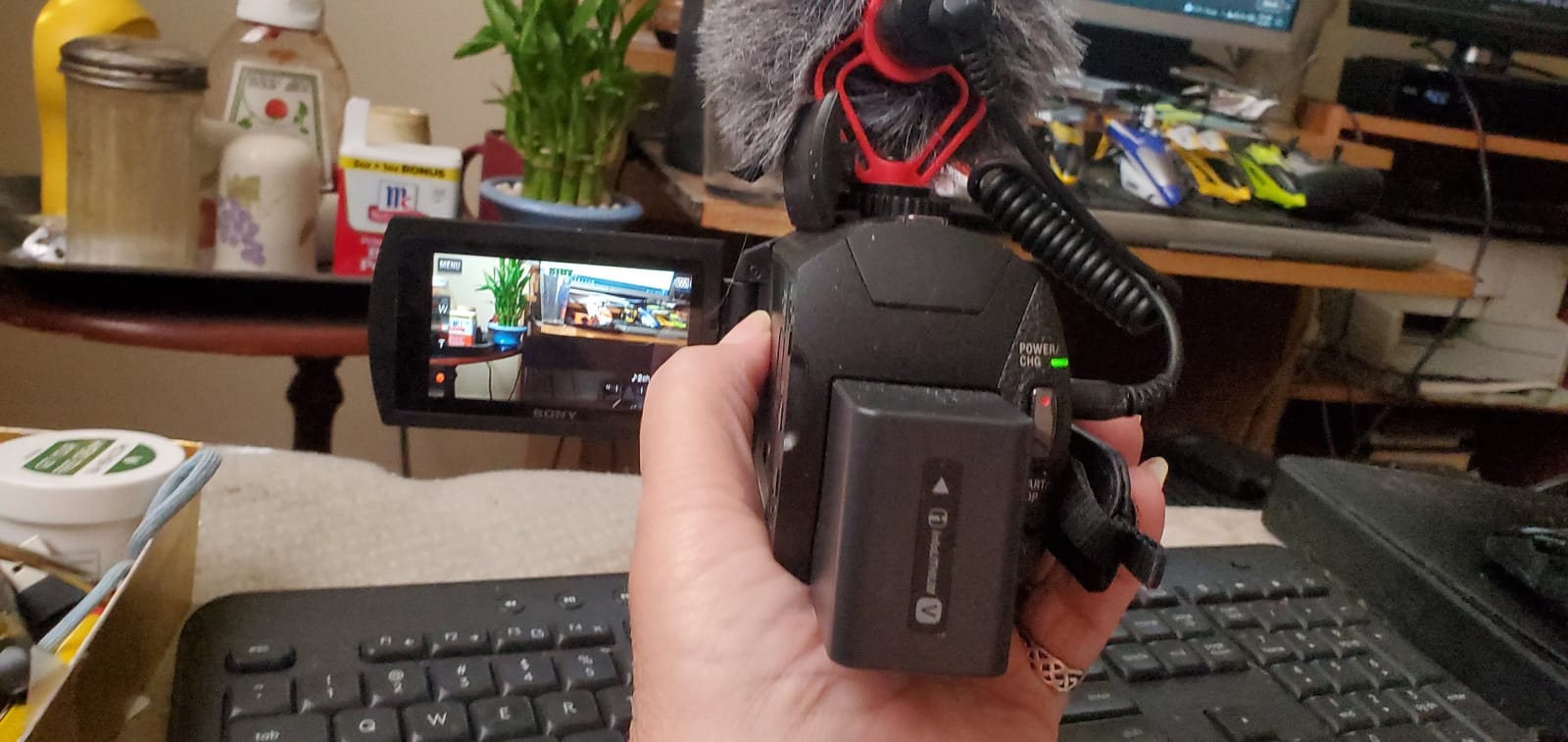 FDR-AX43 UHD 4K Handycam Camcorder customer photo 2