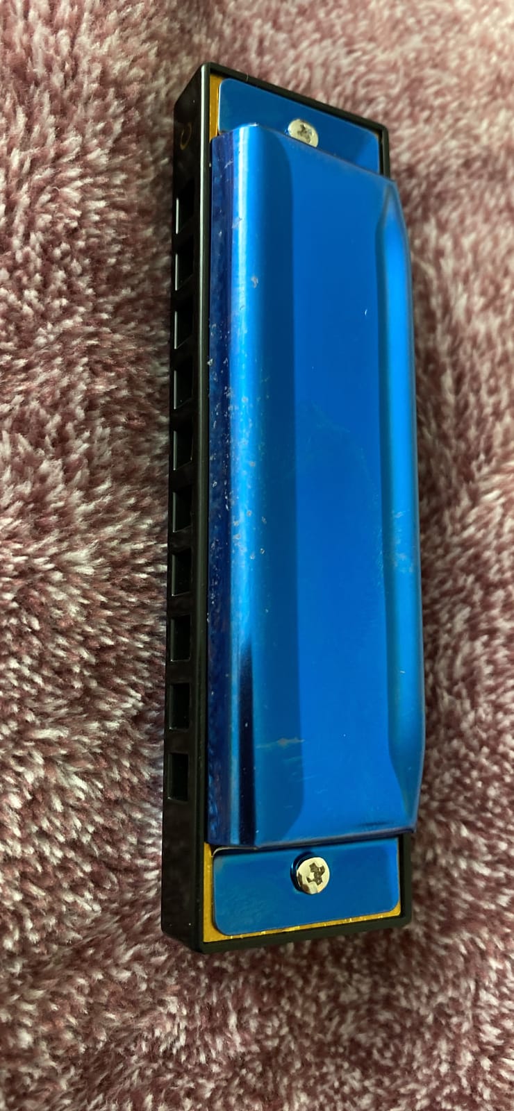 East top Deluxe Harmonica Key of C, 10 Holes 20 Tones Mouth Organ Diatonic Blues Harmonica customer photo 2