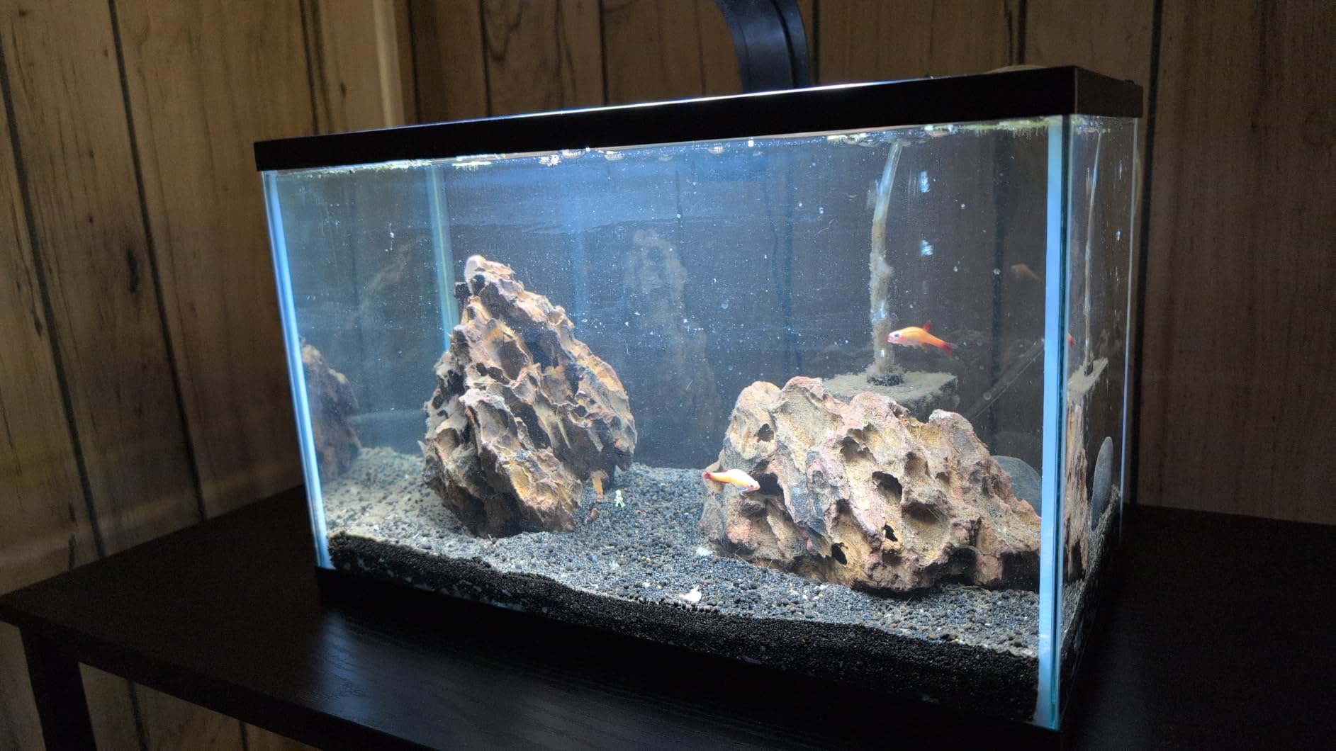 Tetra 55 Gallon Glass Aquarium, Rectangular Fish Tank, 48W x 13D x 20H, Tank Only - Hood, Filter, Heater, Lighting, Decor & Accessories Sold Separately customer photo 2
