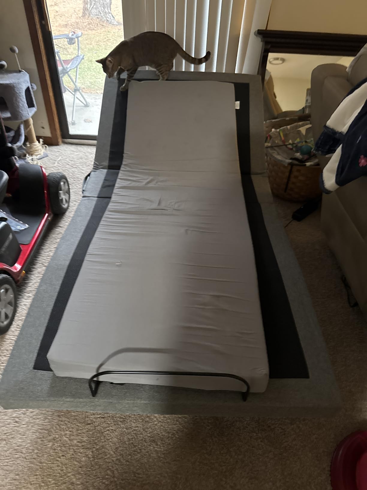 Best Choice Products Ergonomic Queen Size Adjustable Bed Frame, Electric Base w/Wireless Remote Control, Nightlight, Massager, 2 USB Ports customer photo 2