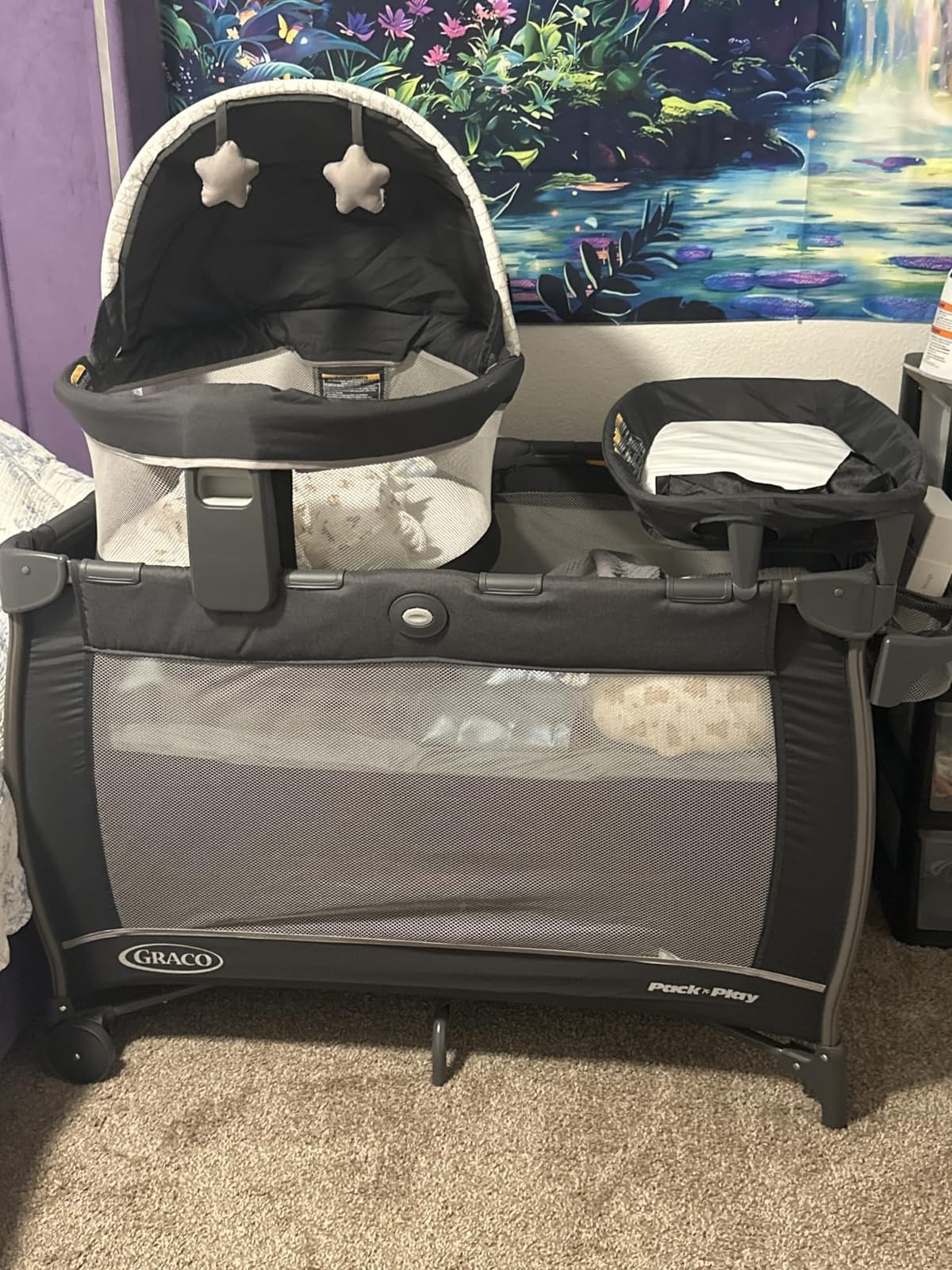 Graco Pack n Play Dome LX Playard with Baby Bassinet, Redmond customer photo 1