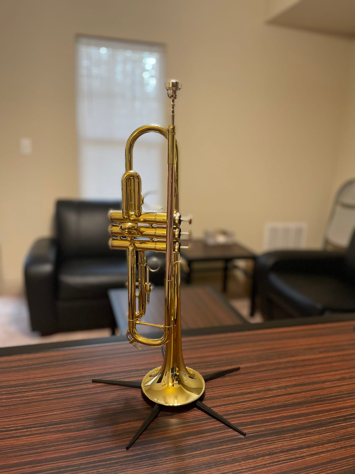 Libretto Gold Lacquer Bb Trumpet Set, Rose Brass Leadpipe | Standard for Beginner & Intermediate Students, Stainless Valve, 7C Mouthpiece, Durable Case, Portable Stand, Care Kit customer photo 2