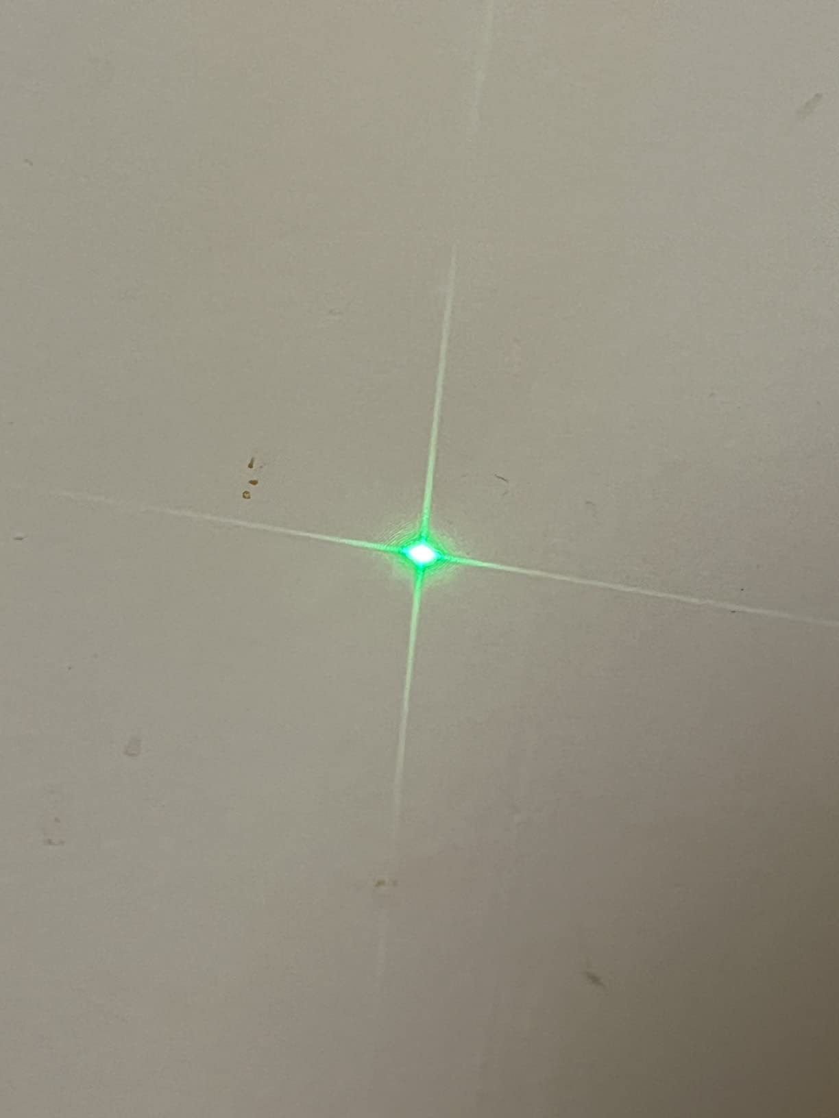 BOSCH GPL100-30G Green-Beam Self-Leveling Alignment Laser with Hard Carrying Case customer photo 2