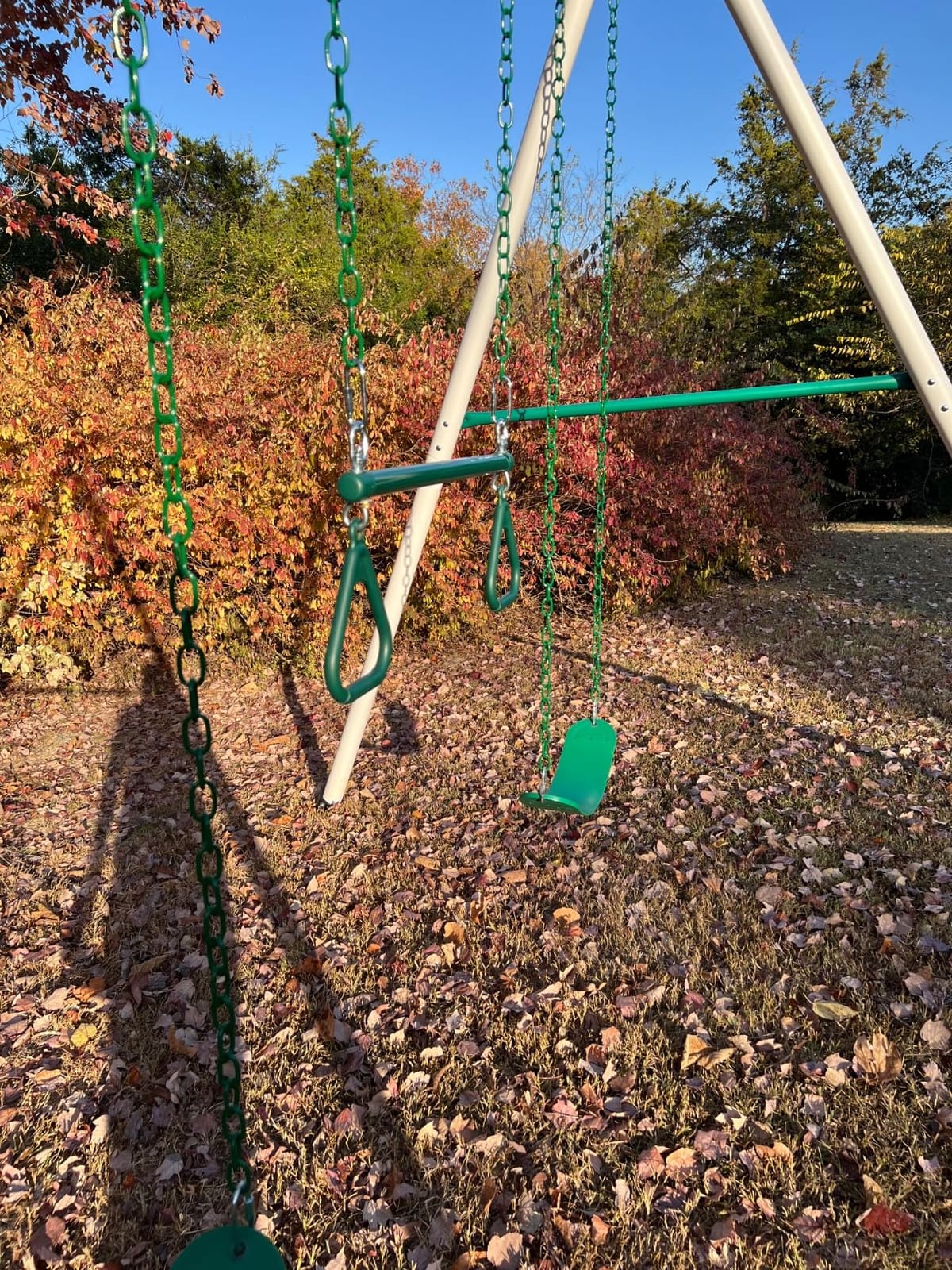 Backyard Discovery Big Brutus Galvanized Steel Swing Set Kit with Classic A-Frame, Two Belt Swings, One Trapeze Bar, Easy Assembly, Heavy-Duty Powder-Coated Steel, Weather-Resistant, Outdoor Playset customer photo 1
