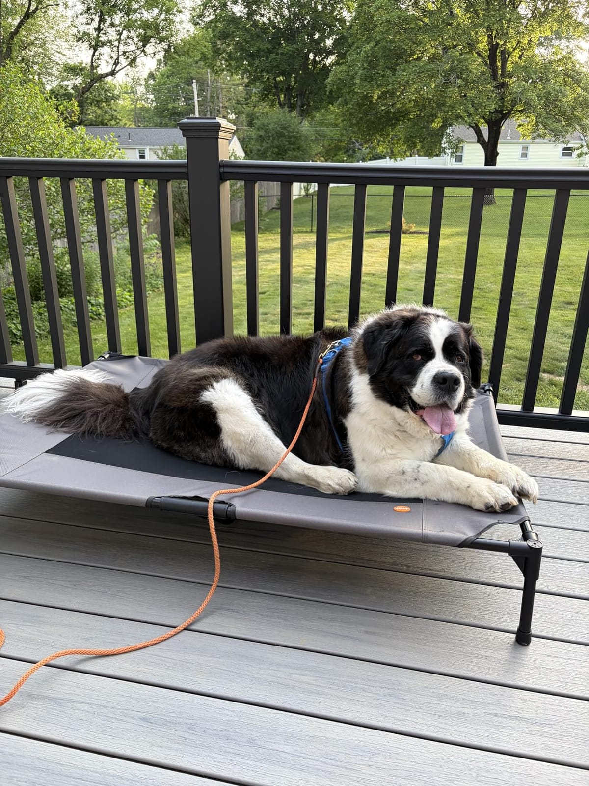 K&H Outdoor Elevated Dog Bed, Cooling Raised Dog Bed, Medium 32x25in, Tan | Cool comfort outdoors, medium dog cot with hammock support, washable dog bed, metal frame, quick-dry mesh customer photo 1
