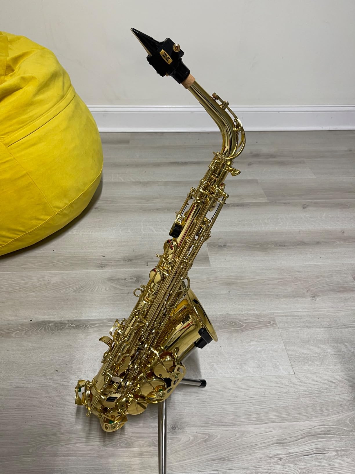 Eastar Professional Alto Saxophone Golden E Flat Eb with Cleaning Kit, Carrying Case, Mouthpiece, Neck Strap, Reeds, Stand, AS-III customer photo 2
