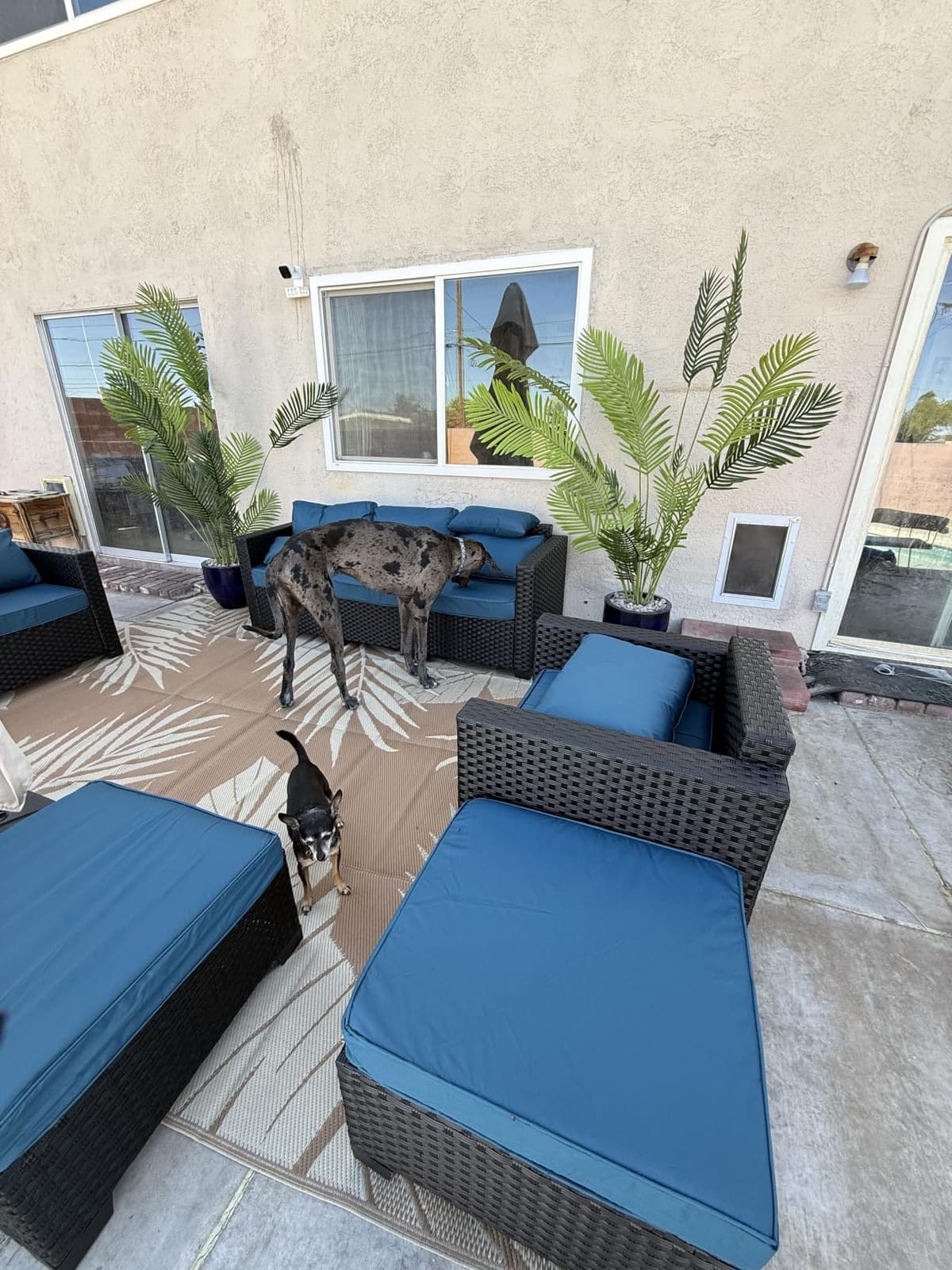 Rattaner Patio Wicker Furniture Set 6 Pieces Outdoor HDPE Wicker Conversation Couch Sectional Chair Sofa Set with Grey Cushions customer photo 2