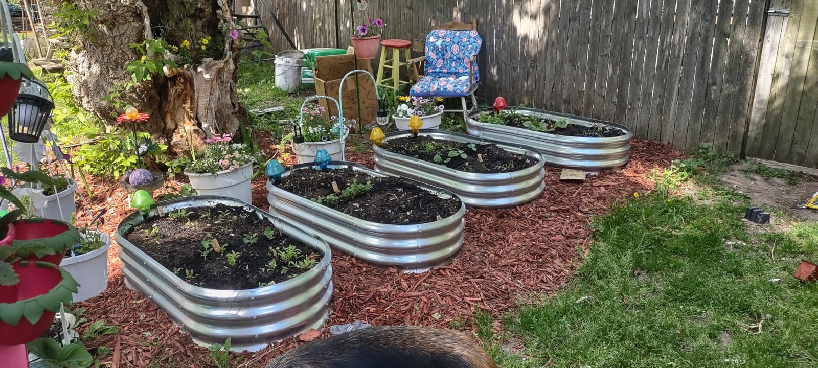 Land Guard Galvanized Raised Garden Bed Kit, Oval Large Metal Raised Garden Beds for Vegetables customer photo 1