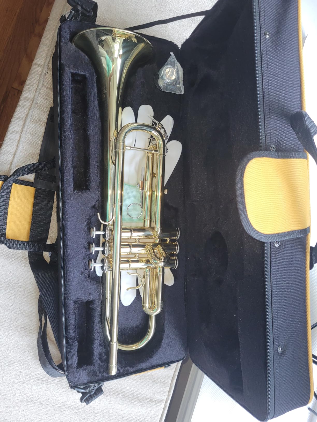 Trumpet Instrument,Band & Orchestra Musical Instruments for Beginners,With trumpets case,Mouthpiece,Cloth and Gloves (Golden) customer photo 1