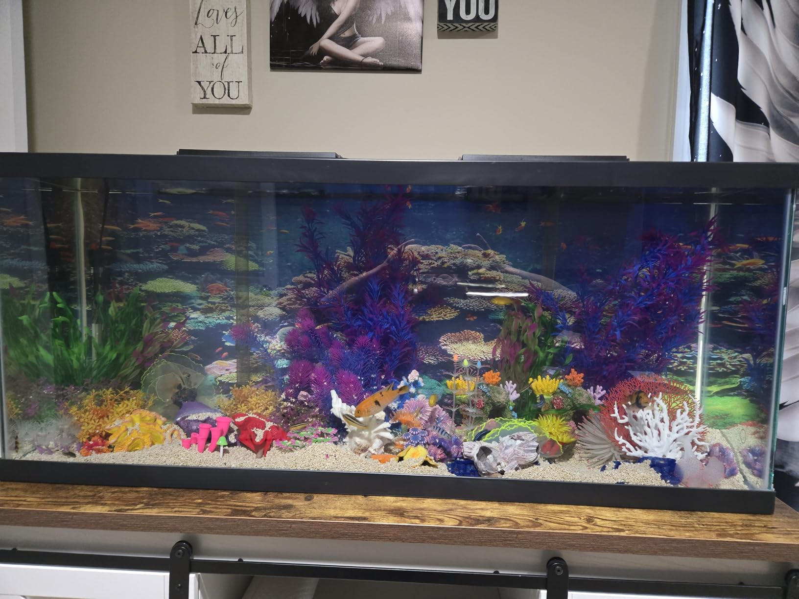Tetra LED 55 Gallon Complete Fish Tank Kit for Freshwater Fish, Includes LED Lighting, 55 Gallon Glass Tank, Filter & Cartridge, Heater, Decor customer photo 1