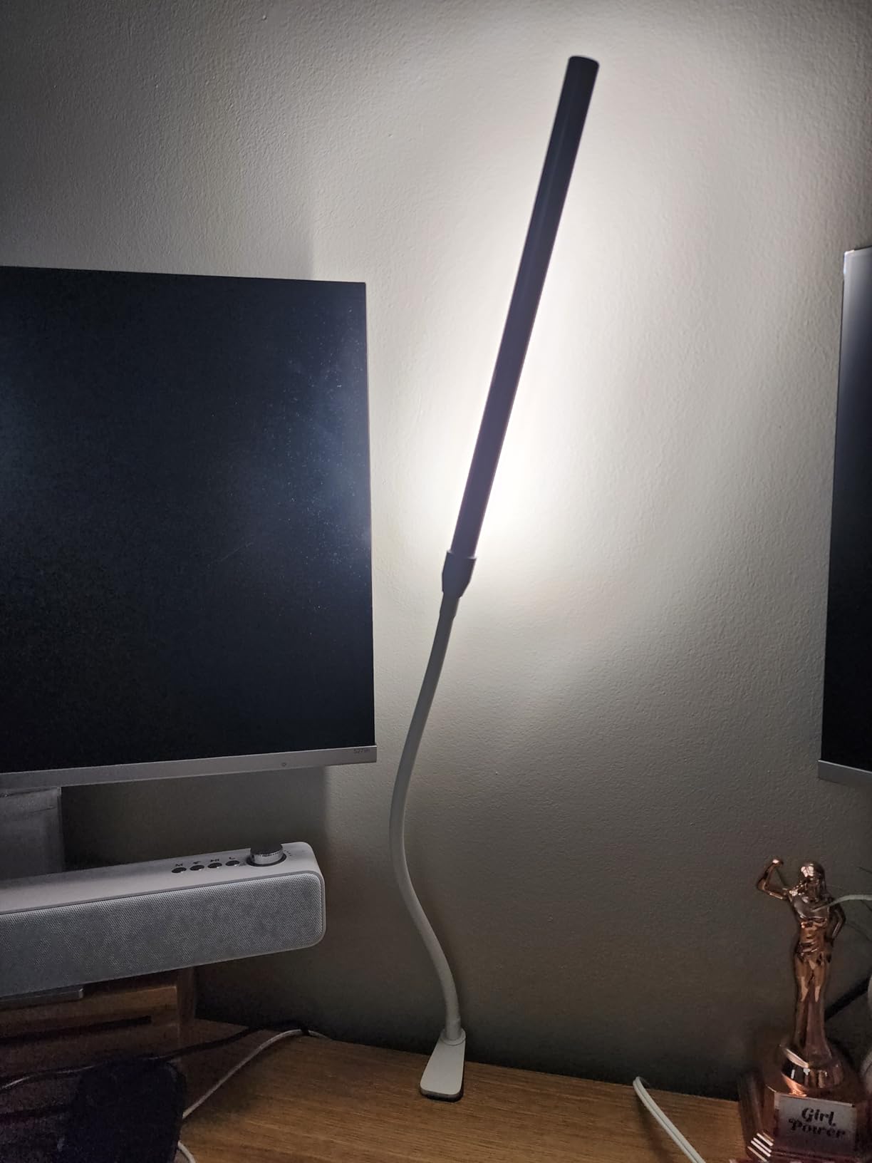 Lepro Small Desk Lamp with Clamp, LED Reading Lamps, 460LM, 5W, White | 3 Color Modes 10 Brightness, Dimmable USB Clip on Desk Light with Gooseneck Swing Arm for Nail, Home Office and Dorm customer photo 1