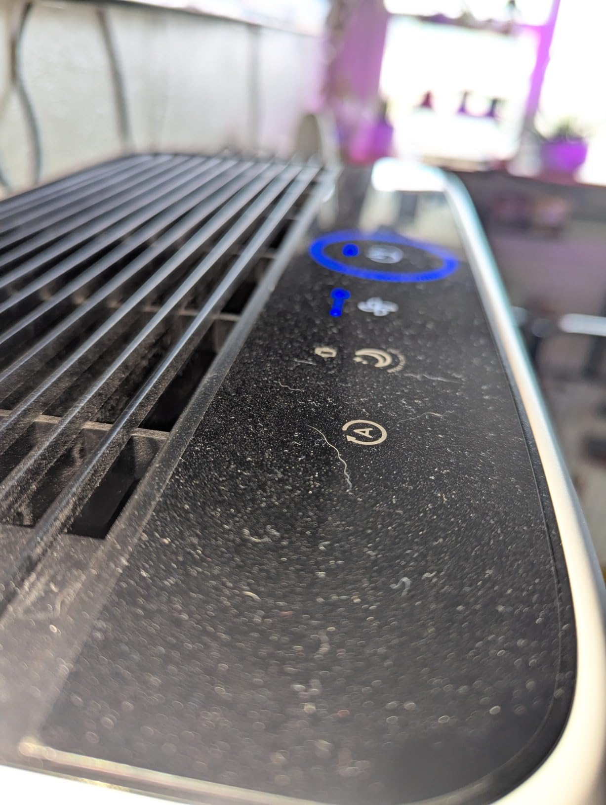 LEVOIT Vital 200S-P customer photo 1