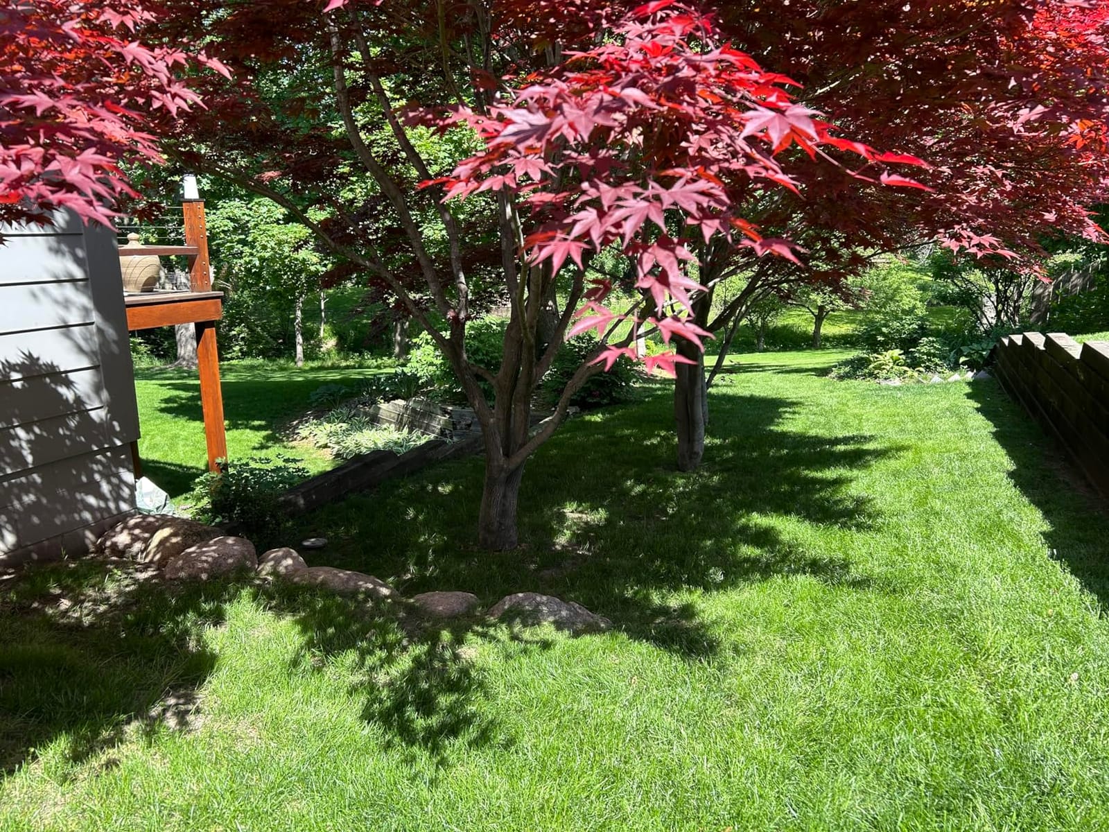 EGO POWER+ Electric Lawn Mower, Cordless, Includes 56V 6.0Ah Battery And 320W Charger - LM2114 customer photo 2