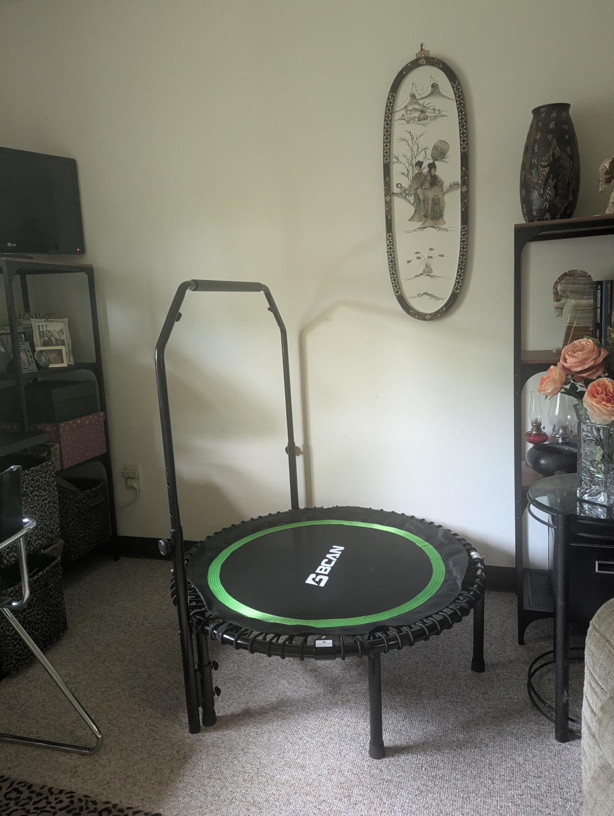 BCAN BT2 450/550LBS Mini Rebounder Trampoline for Adults with Bar customer photo 2