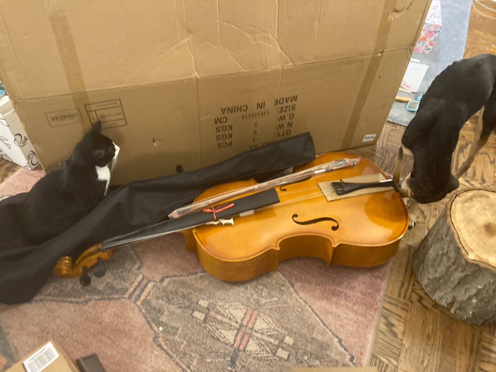Ktaxon Full-Size Cello, Beginner Cello 4/4, Acoustic Cello Kit with Portable Bag, Bow, Bridge and Rosin (Nature) customer photo 2