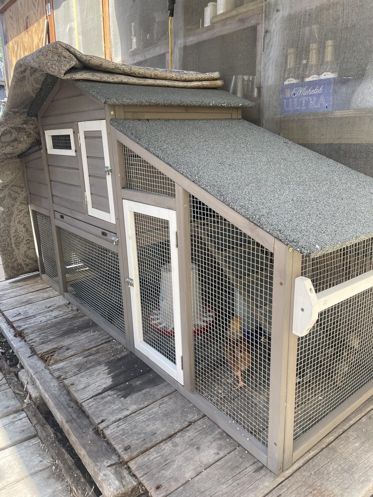 Ketive Large Wooden Chicken Coop with Run and Wheels, Grey | On Wheels, 2 Nesting Box, Pull-Out Tray, For 1-3 Hens, Chicken Coop with Run, Easy Clean Pull-Out Tray, Backyard Use customer photo 2