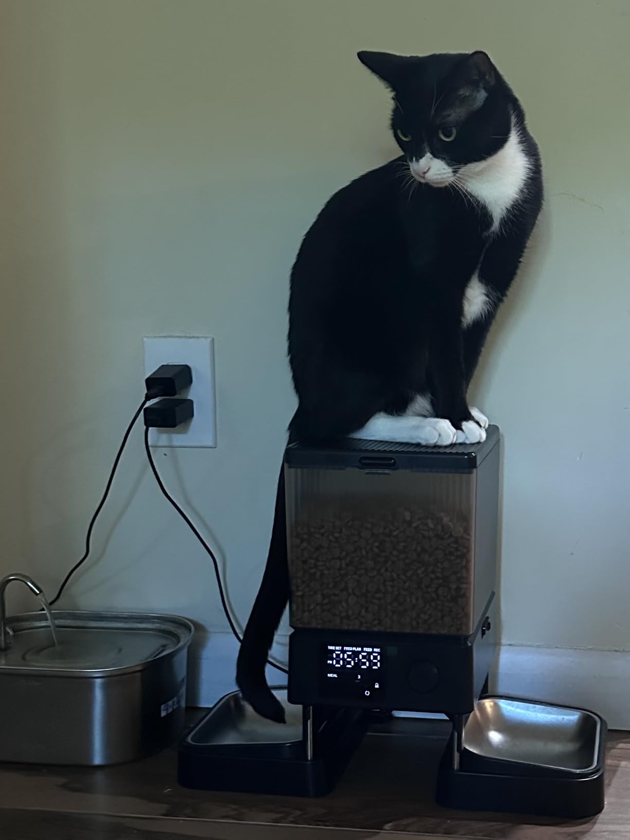 oneisall Automatic Cat Feeder for 2 Cats Pets, Timed Cat Food Dispenser | 20 Cups/5L, Prevent Fighting, Precise Portion, Balanced Dispense, Non-Slip & Stable, Voice Recorder, Stainless Steel Bowls customer photo 2