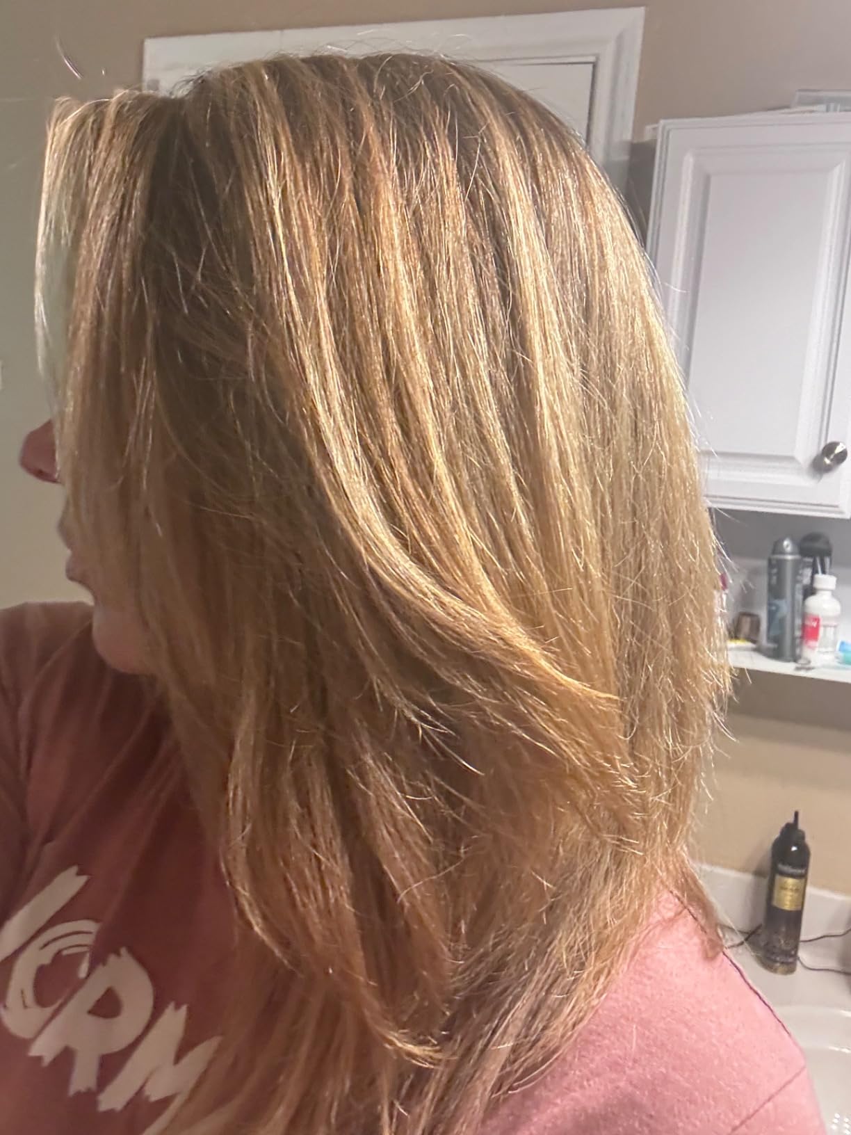 Shark Hair Dryer | SpeedStyle | No Heat Damage Hair Styling Tool | 3 Styling Tools Included | Portable & Powerful Blow Dryer | Best for Straight & Wavy Hair | Silk | HD331 customer photo 1