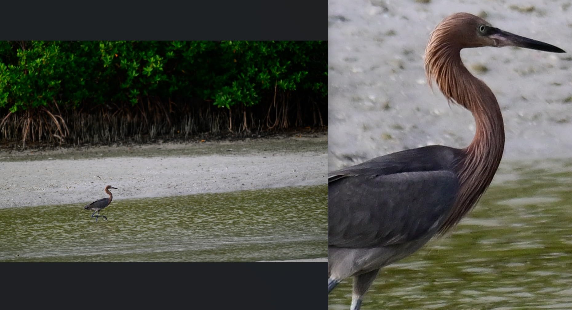 NIKKOR Z 180-600mm f/5.6-6.3 VR customer photo 1