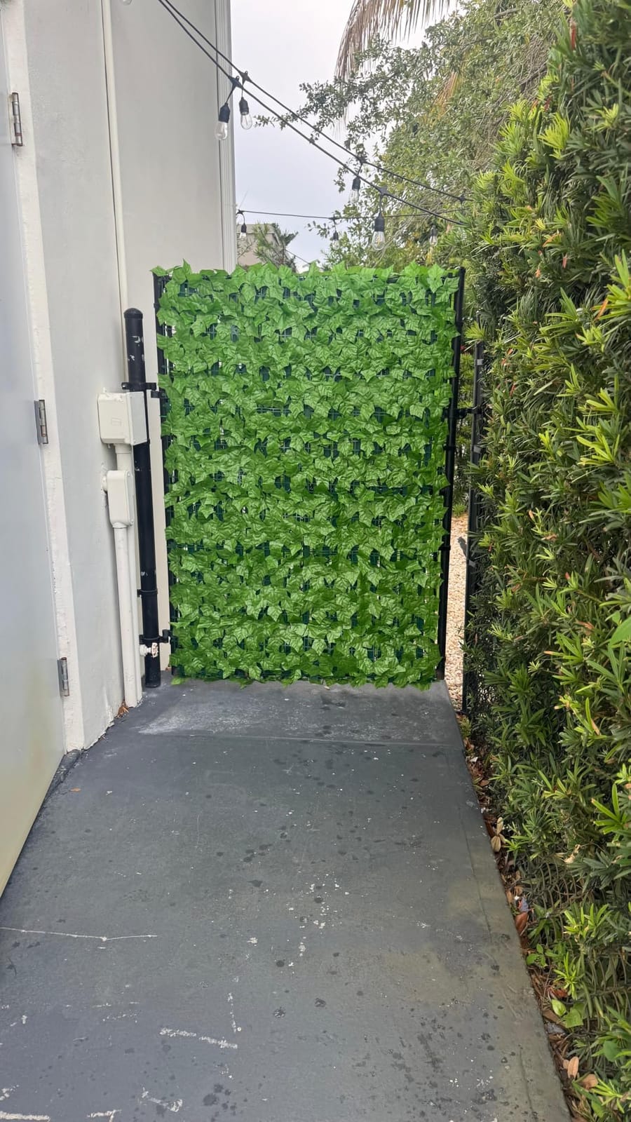 ODTORY Artificial Ivy Privacy Screen Fence Panel, Green 40 X 120 in | UV-Anti Faux Greenery Backdrop, Fake Vine Leaf Hedges Background, Patio/Balcony/Garden/Backyard, Indoor Outdoor Green Decor customer photo 2