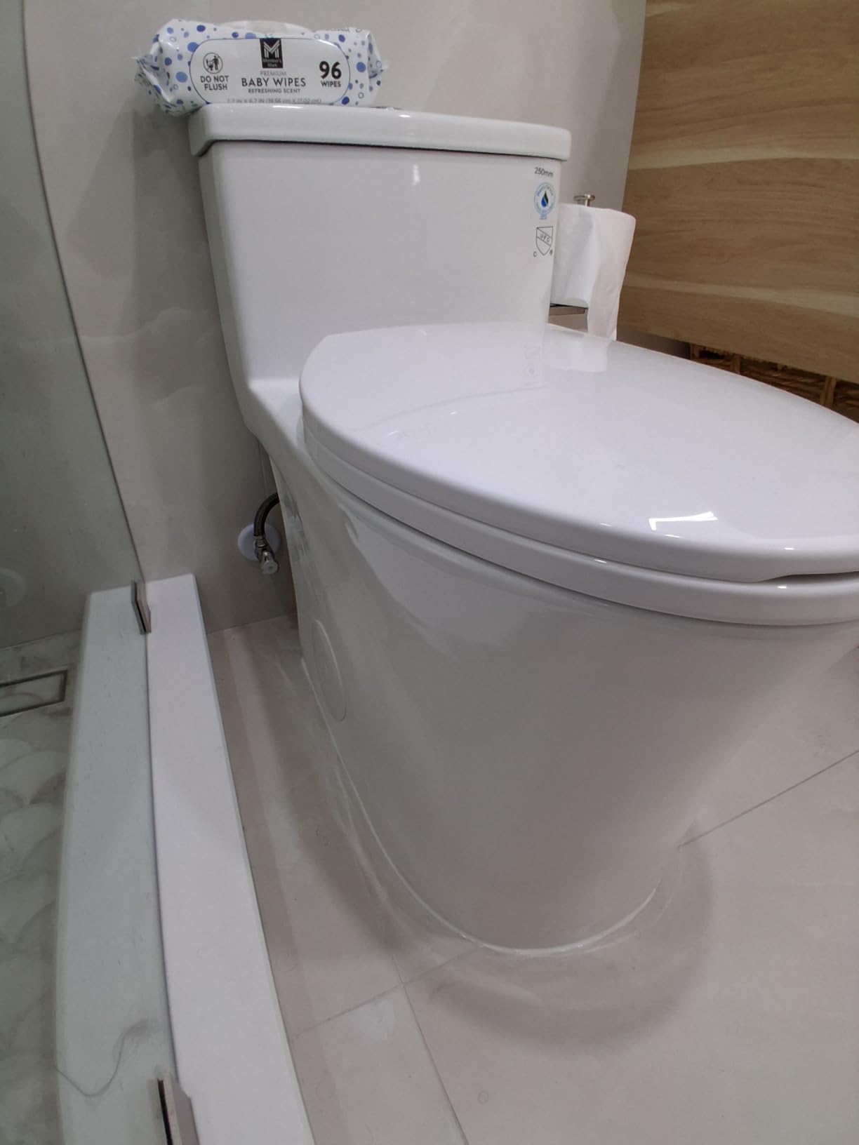 HOROW T0338W One Piece Toilet 10