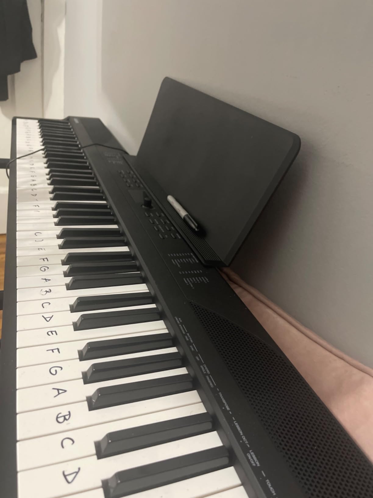 Alesis Recital Play 88-Key Piano Keyboard Bundle with Stand, Sustain Pedal, Headphones, for Beginners customer photo 1