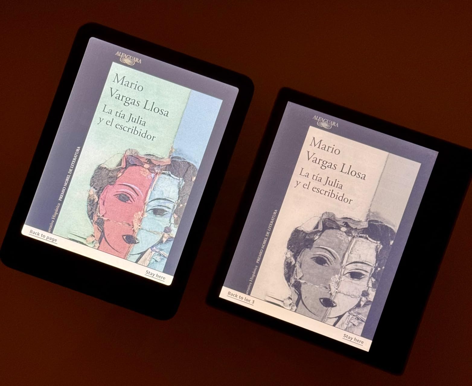 Kindle Colorsoft Signature Edition 32GB (newest model) - With color display, auto-adjusting front light, wireless charging, and long battery life - Metallic Black customer photo 2