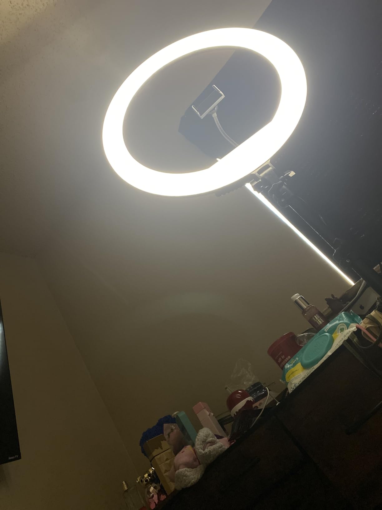 Hagibis 21 inch Ring Light with Stand Outer 55W 5600k Dimmable LED Light, Tripod Stand, and Phone Holder, Remote Controller, Carrying Bag, CRI 97+ 2540lux customer photo 1