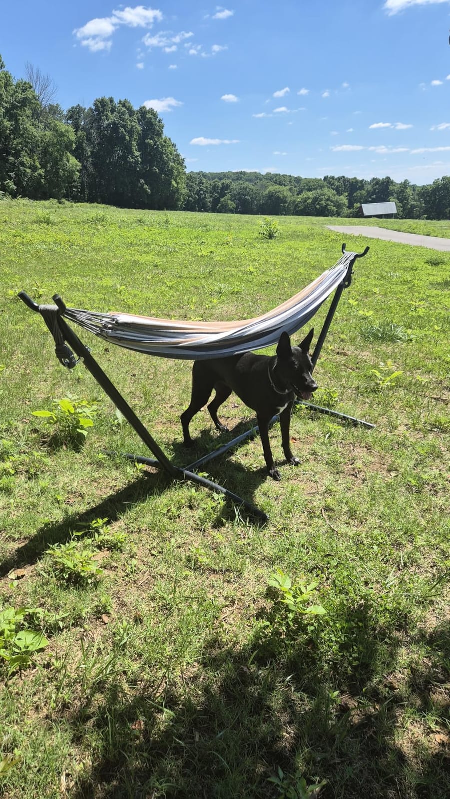 Double Hammocks with Stand for Outside, Portable Space Saving Heavy-Duty Steel Stand for Indoor Outdoor Patio with Carrying Bag, 450 lbs Capacity (Gray) customer photo 2