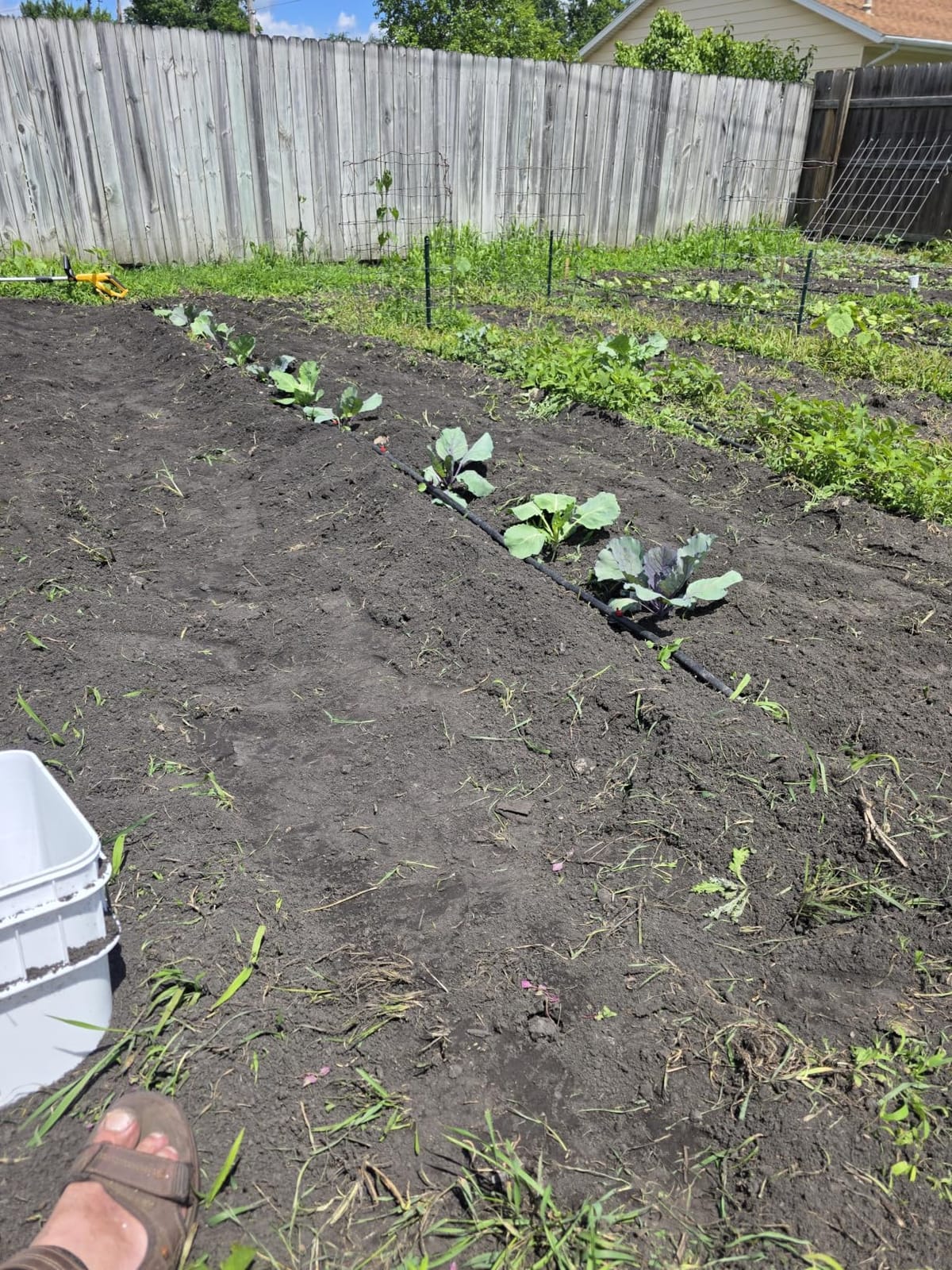 Alloyman 20V Cordless Tiller Cultivator, 360RPM Electric Garden Tiller, with 2 * 4.0Ah Batteries & Charger, 9In Tilling Width customer photo 2