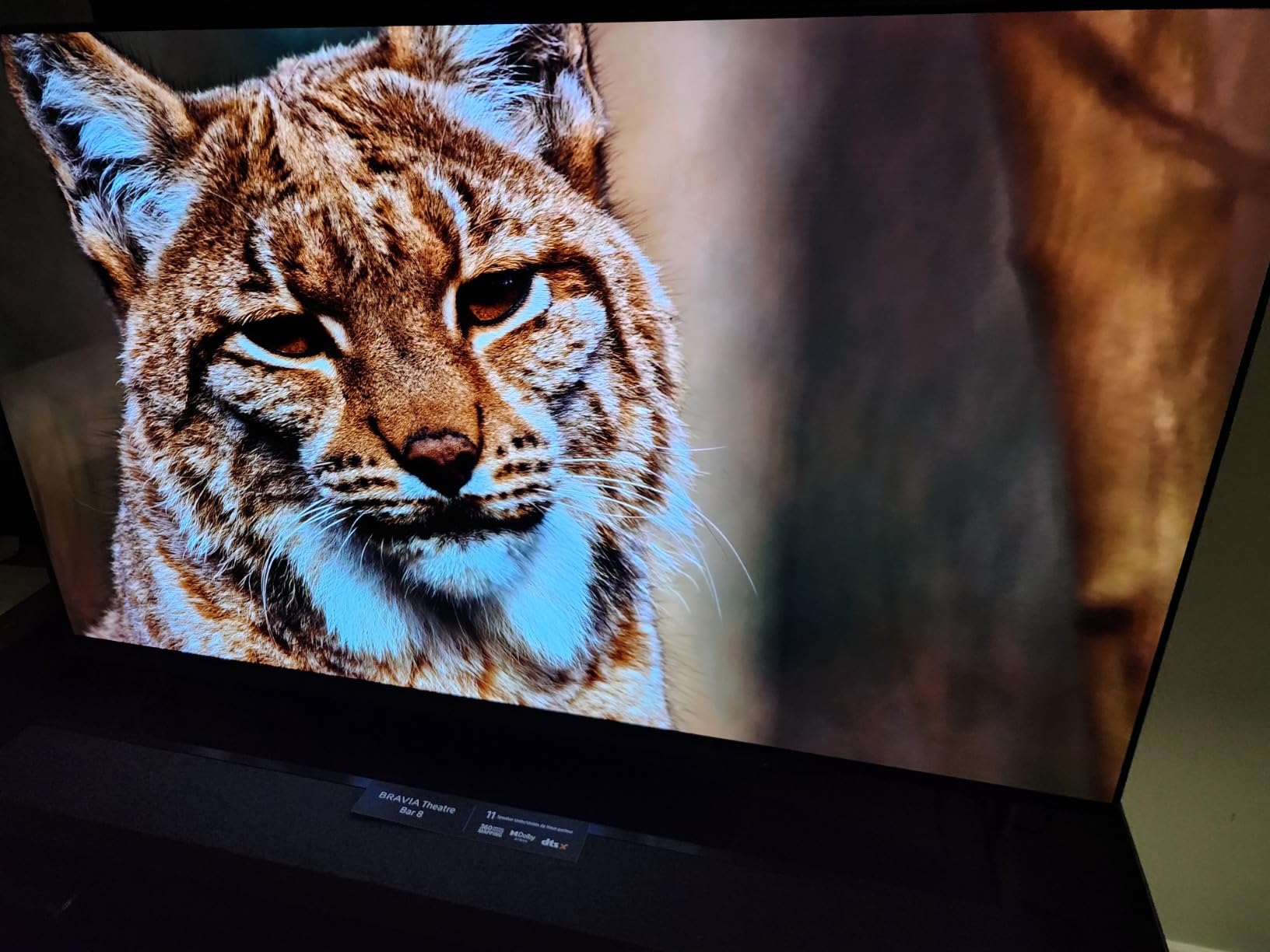 Sony 65 Inch BRAVIA 8 OLED 4K HDR Smart Google TV (K-65XR80) | XR Processor with AI Technology, Dolby Vision/Atmos, Exclusive Features for PlayStation 5, 4K movie credits included customer photo 2