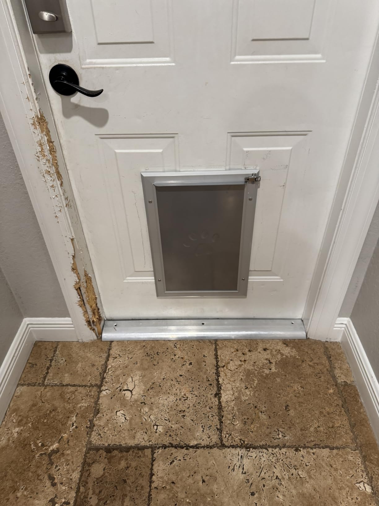 Petoasis 3-Flaps Heavy-Duty Dog Door, Rust Proof Aluminum Alloy Frame | Energy-Efficient, Thick Flaps Block Wind Snow Rain Intrusion in Extreme Weather (Silvery White, Large for Door) customer photo 2