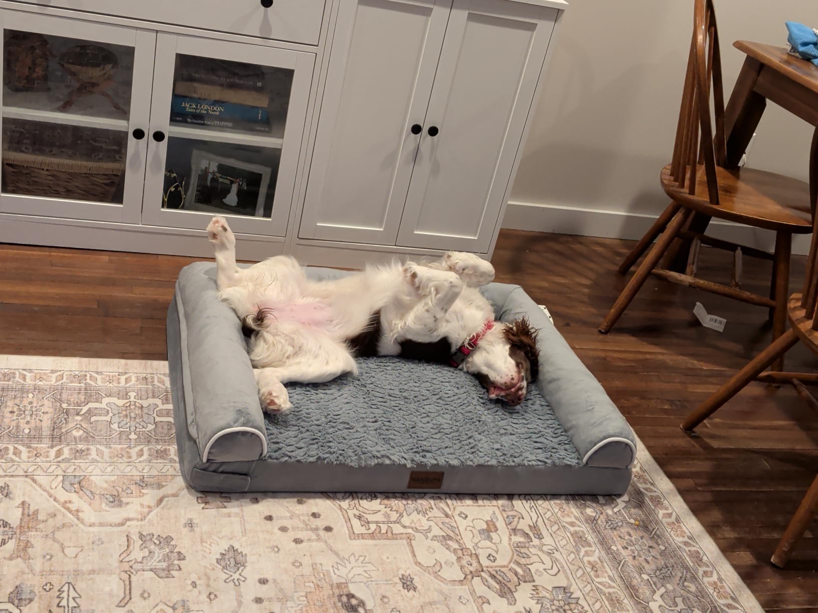 NANUYA Orthopedic Dog Bed for Large Dogs, 36 x 27 Inch, Light Grey | Egg crate foam for joint support, 3-sided bolster pet sofa, waterproof lining, washable cover, and non-skid base customer photo 2