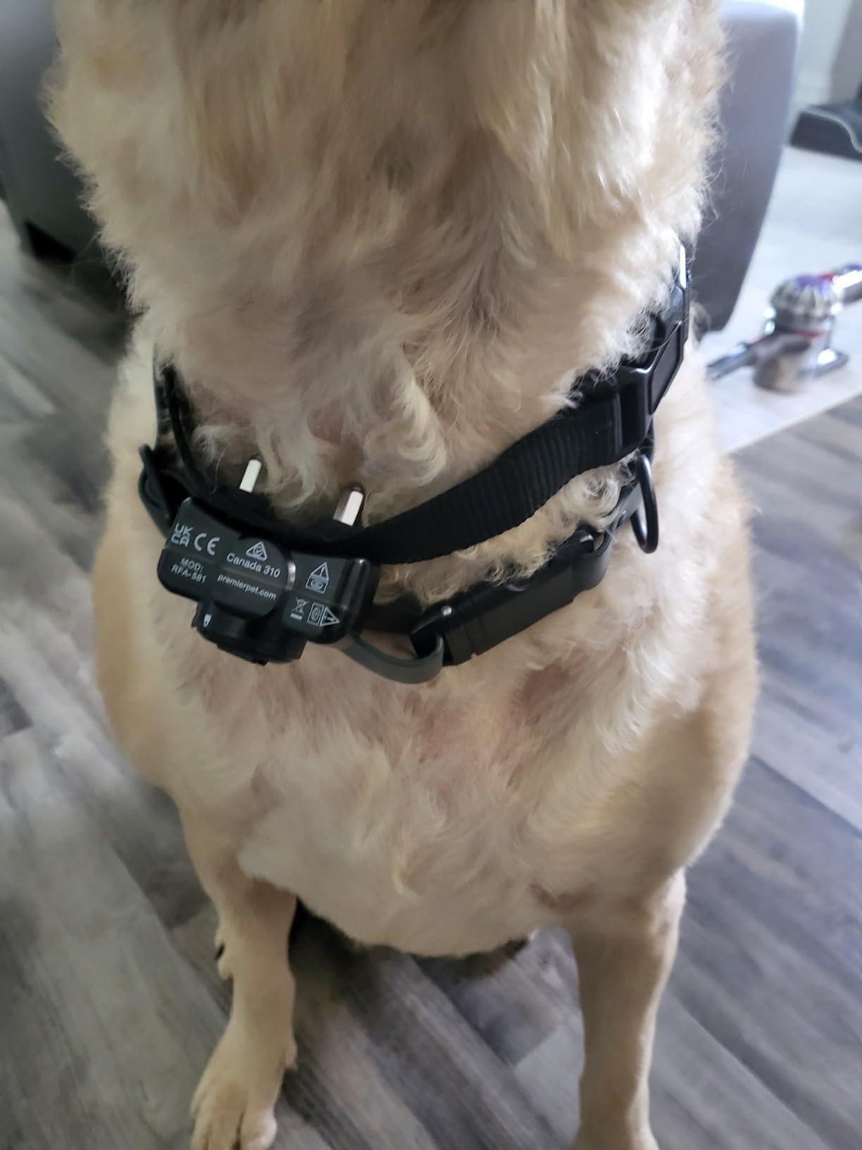 Premier Pet In-Ground Fence System, Up to 1/3 Acre | Expandable up to 5 Acres and Unlimited Dogs, Waterproof Collar, Tone & Static, Replaceable Battery, Dogs 8 lb+, Necks 6-26 in customer photo 2