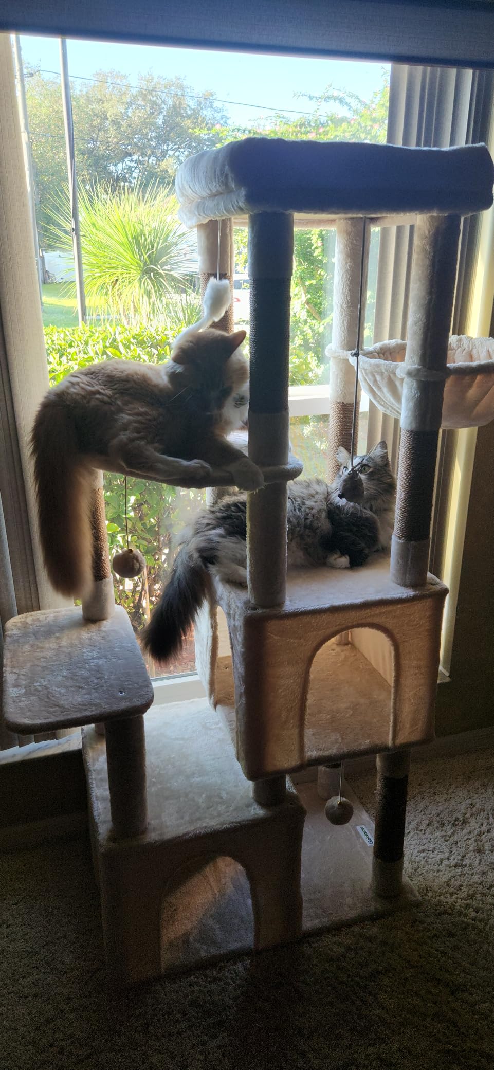 Globlazer Cat Tower for Indoor Cats, Heavy Duty Cat Trees for Large Cats Adult Big Cats Maine Coon Cat Tree Tower with Scratching Post, Extra Large Top Perch, Cat Condos, F61, Light Grey, 61inch customer photo 1