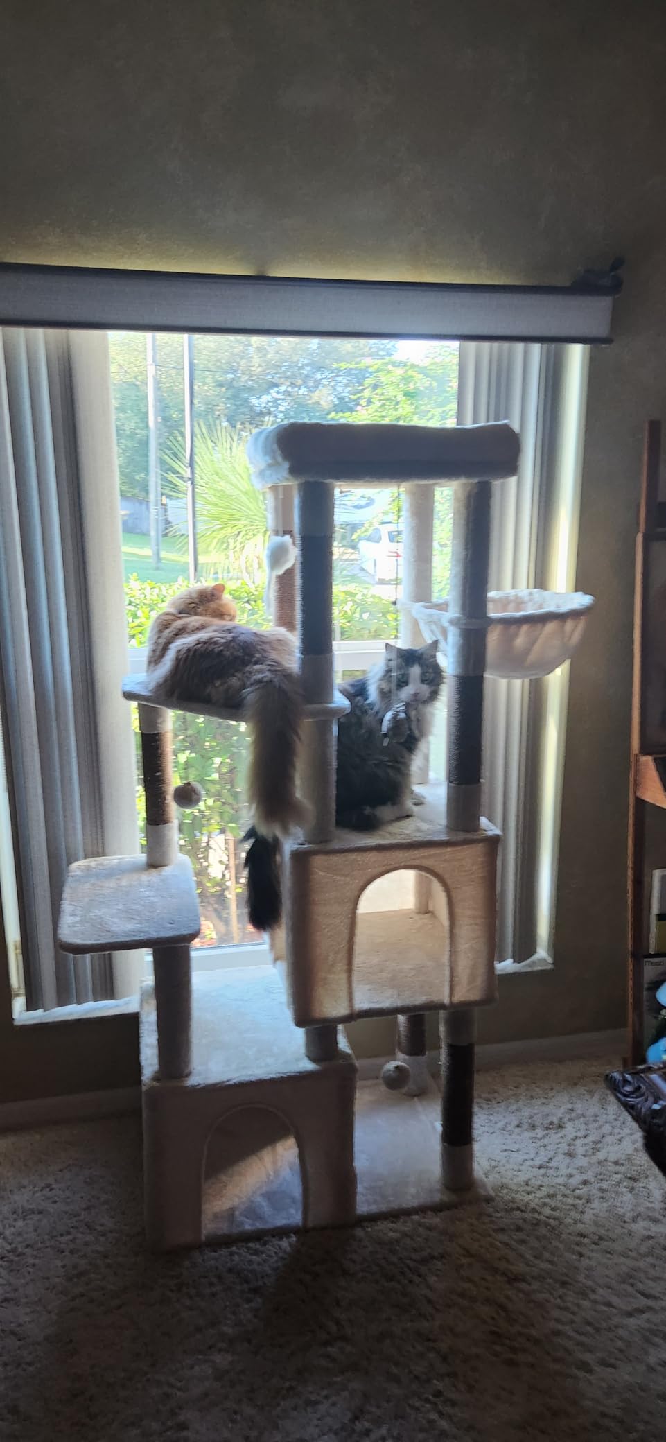 Globlazer Cat Tower for Indoor Cats, Heavy Duty Cat Trees for Large Cats Adult Big Cats Maine Coon Cat Tree Tower with Scratching Post, Extra Large Top Perch, Cat Condos, F61, Light Grey, 61inch customer photo 2